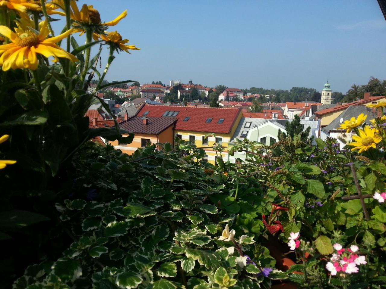 Antik Hotel Sofia Litomyšl Esterno foto