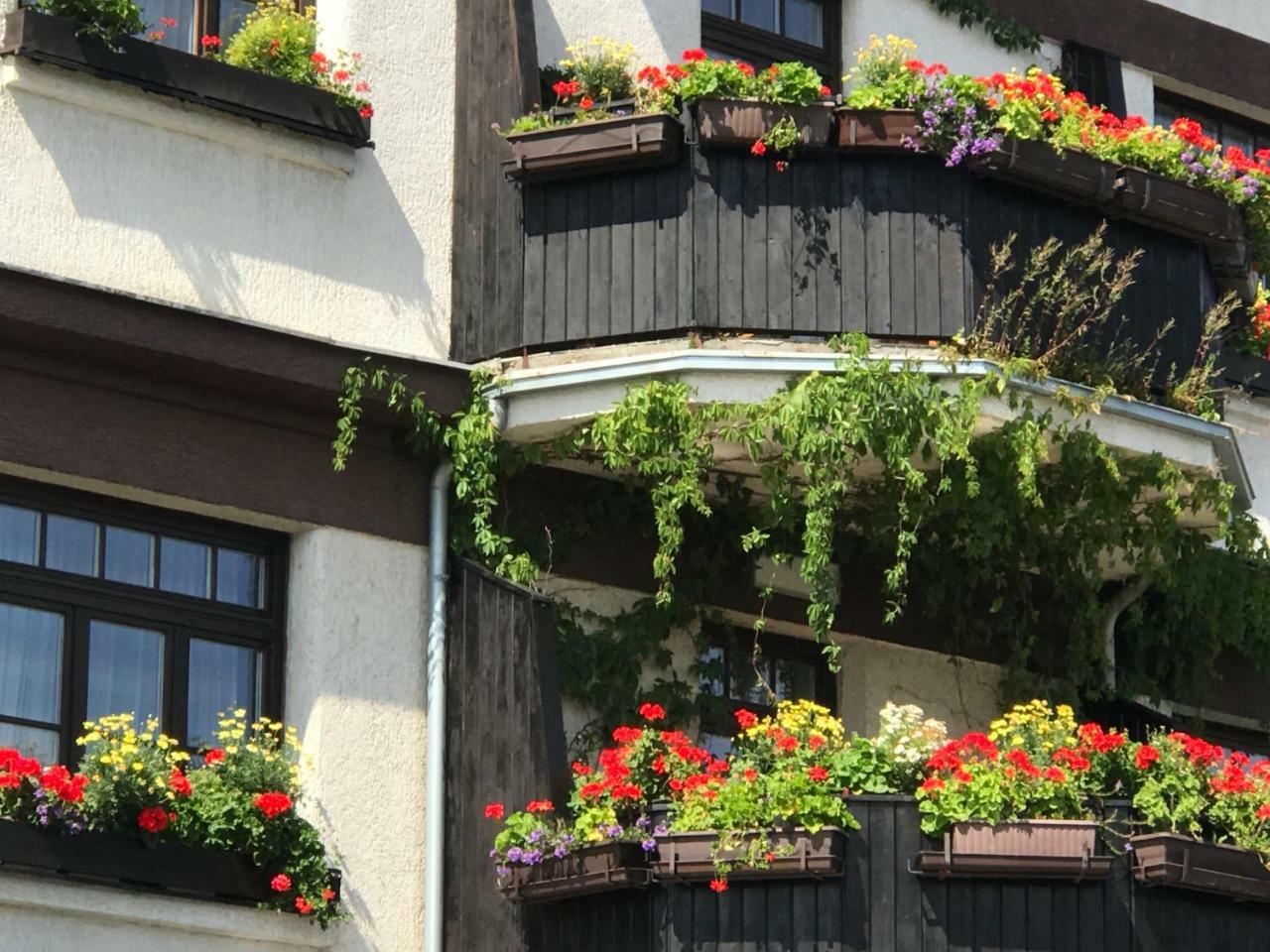 Antik Hotel Sofia Litomyšl Esterno foto